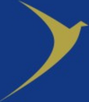 GD Goenka Group